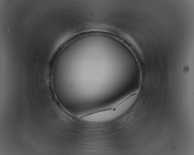 X0000089431360200707131835