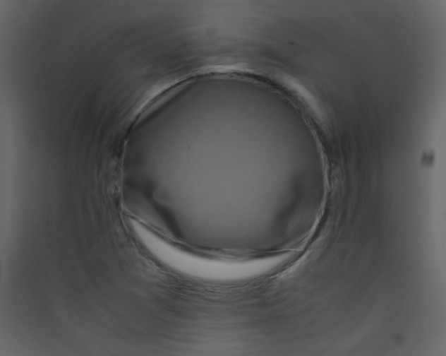 X0000089431361200707131835