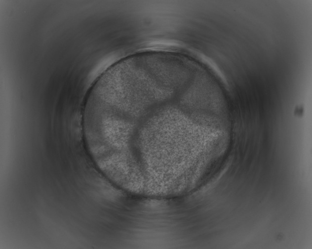 X0000089431362200707131835