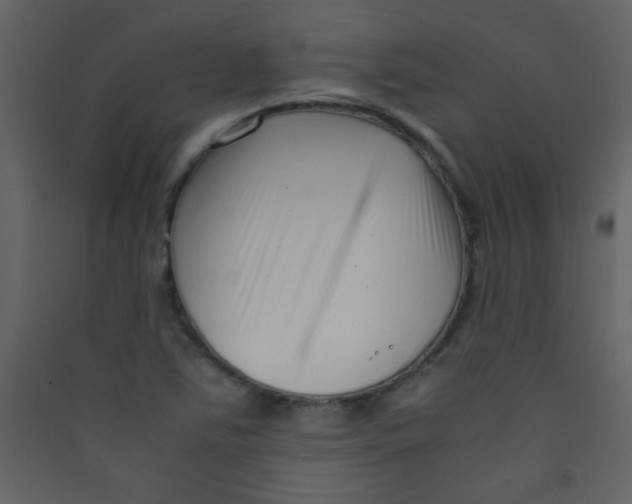 X0000089431363200707131835