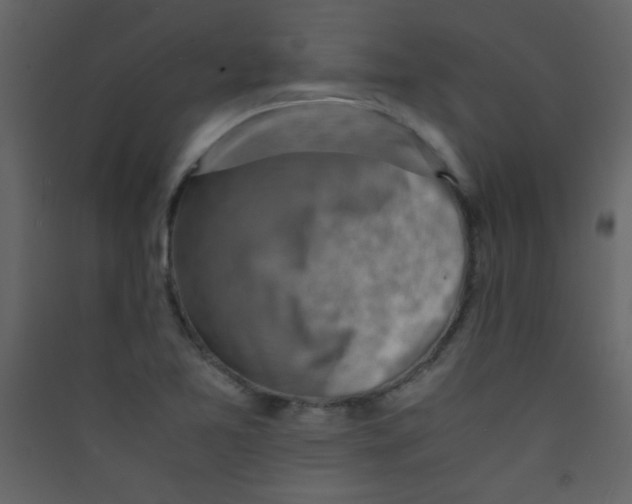 X0000089431365200707131835