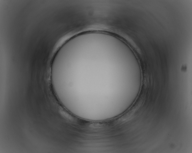 X0000089431366200707131835