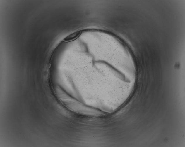 X0000089431367200707131835