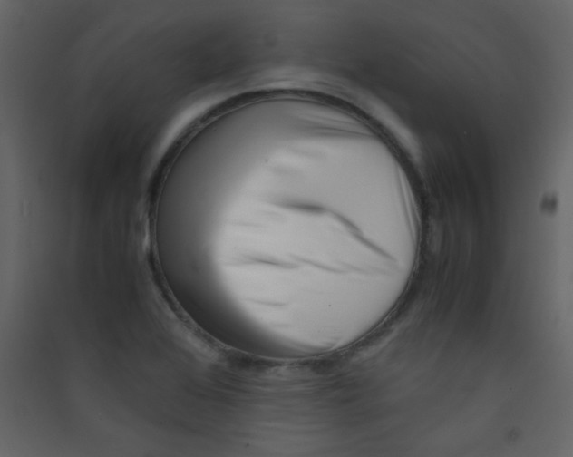 X0000089431368200707131835