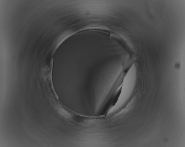 X0000089431369200707131835