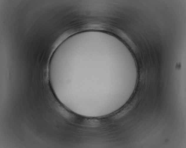 X0000089431370200707131835