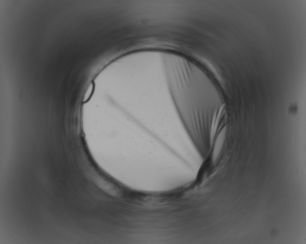 X0000089431371200707131835