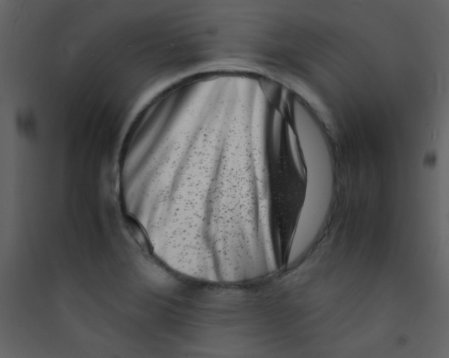 X0000089431372200707131835