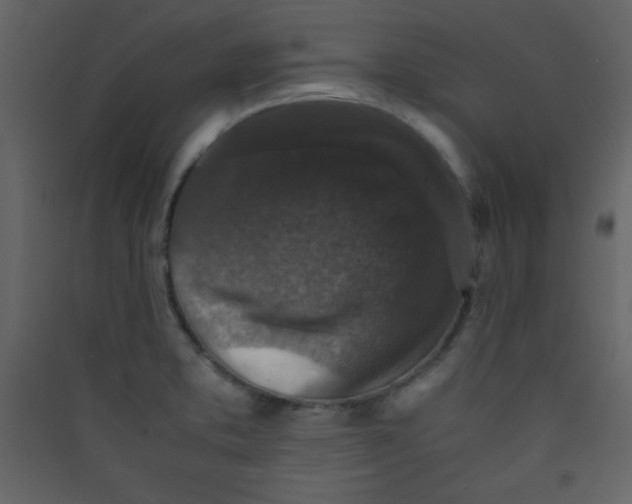 X0000089431373200707131835