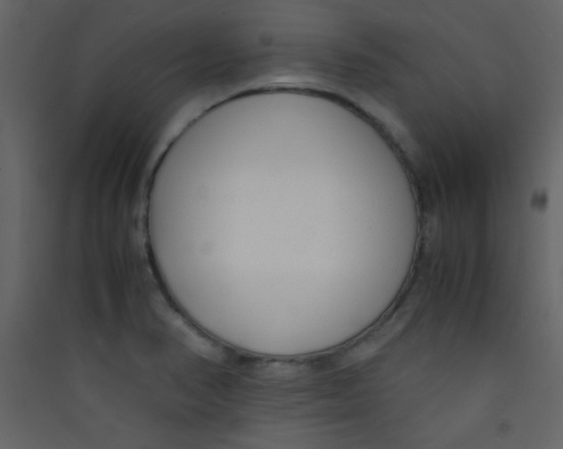 X0000089431374200707131835