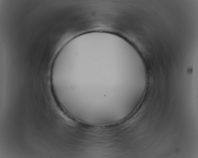 X0000089431375200707131835