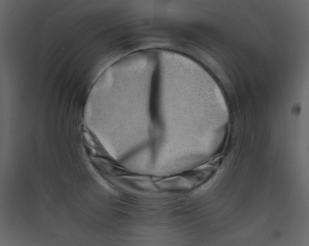 X0000089431377200707131835