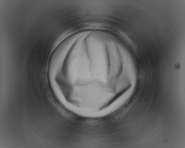 X0000089431378200707131835