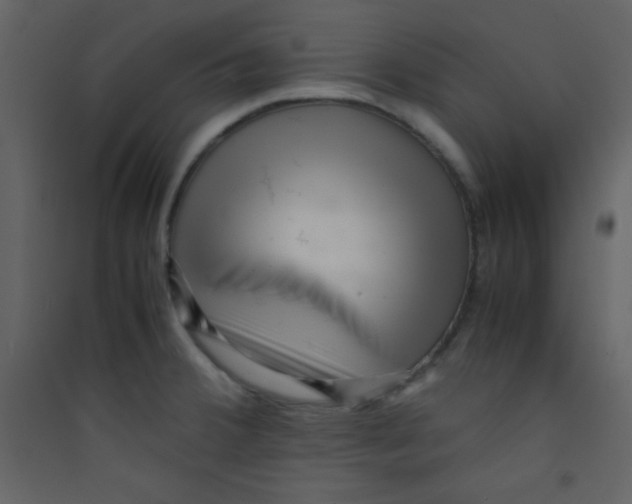 X0000089431380200707131835