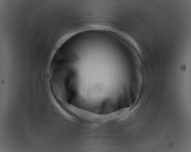 X0000089431381200707131835