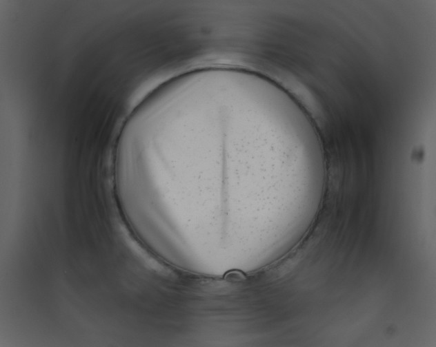 X0000089431382200707131835