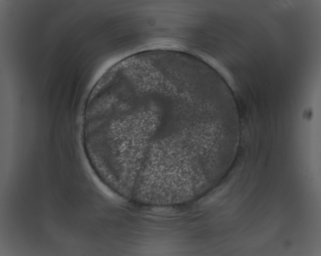 X0000089431383200707131835