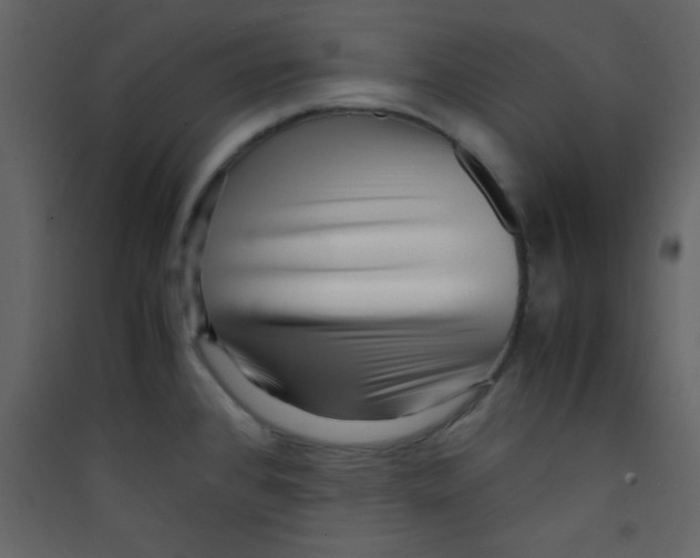 X0000089431384200707131835