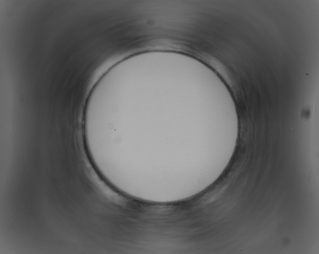 X0000089431387200707131835