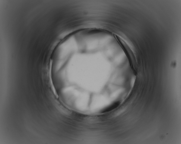 X0000089431388200707131835