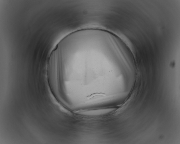 X0000089431390200707131835