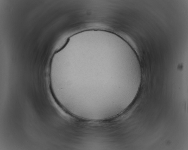 X0000089431391200707131835