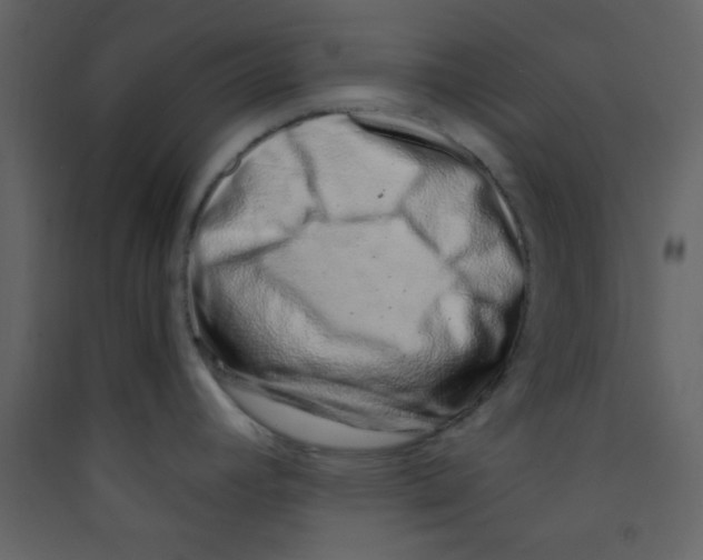 X0000089431392200707131835