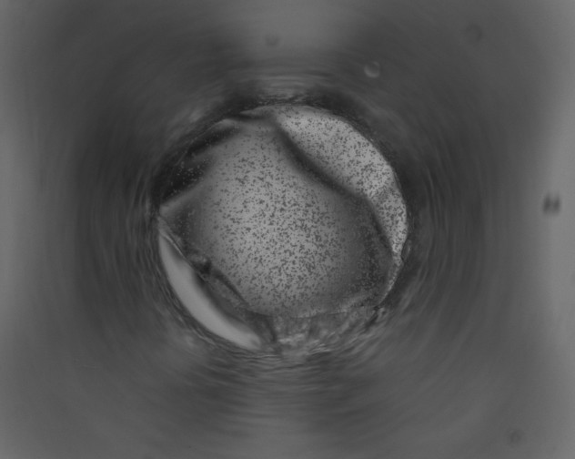 X0000089431394200707131834