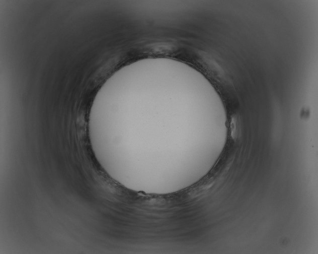 X0000089431395200707131834