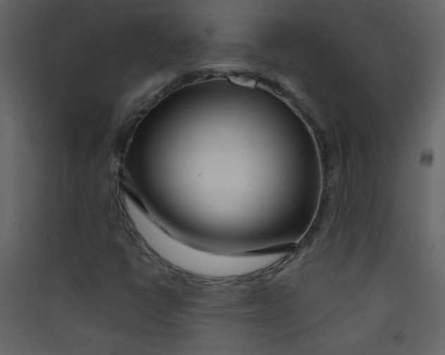 X0000089431398200707131834