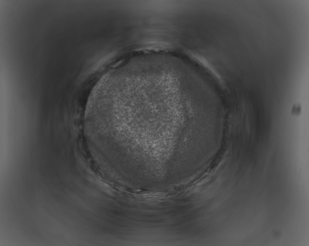 X0000089431399200707131834