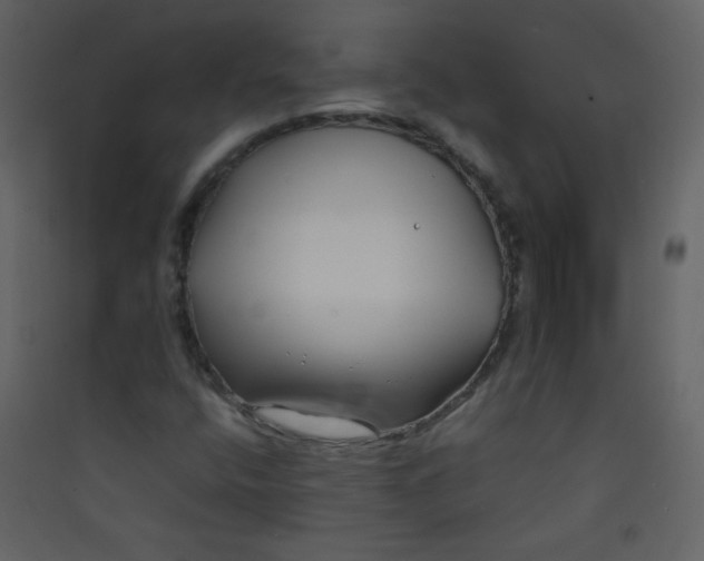 X0000089431400200707131834