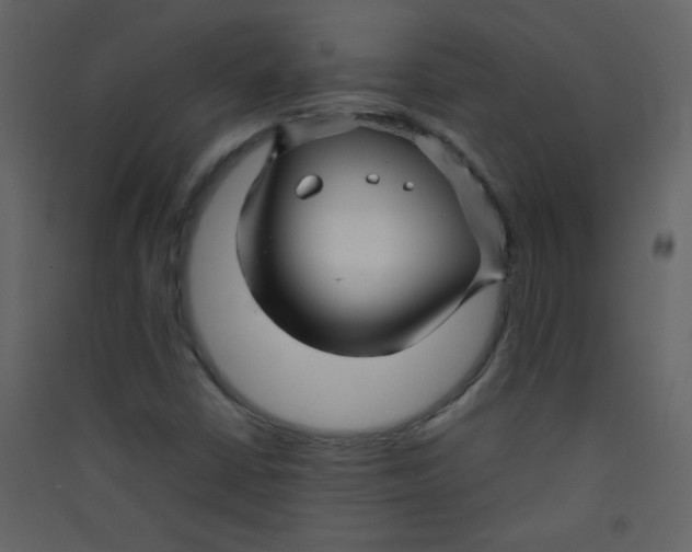 X0000089431402200707131834