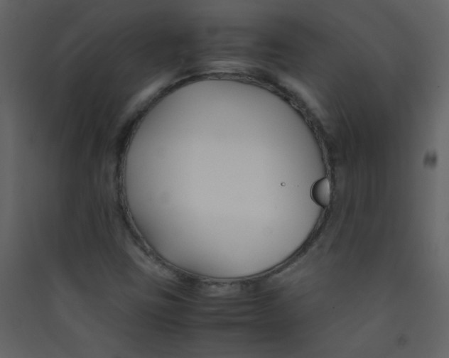 X0000089431403200707131834