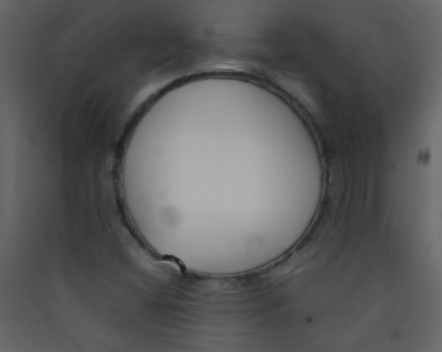 X0000089431404200707131834