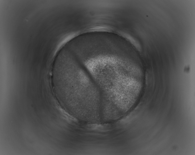 X0000089431405200707131834