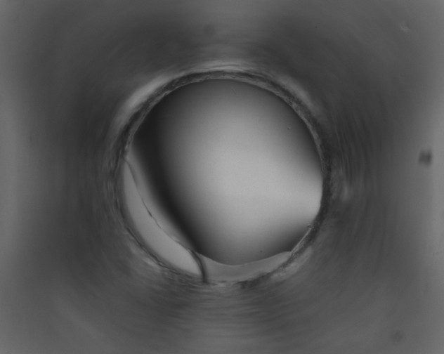 X0000089431406200707131834