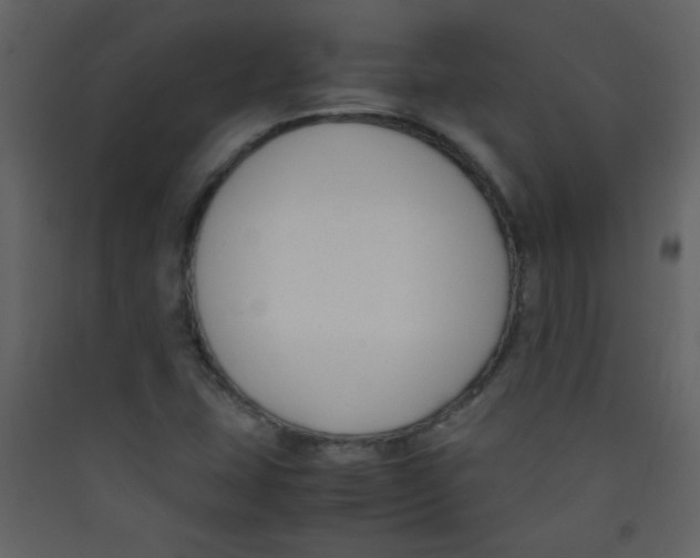 X0000089431407200707131834