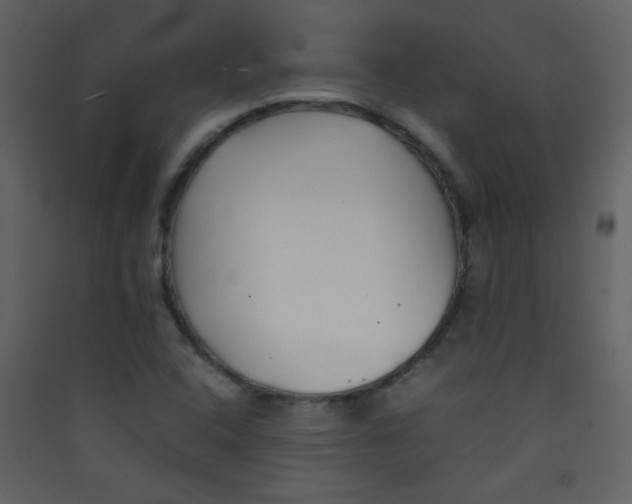 X0000089431408200707131834