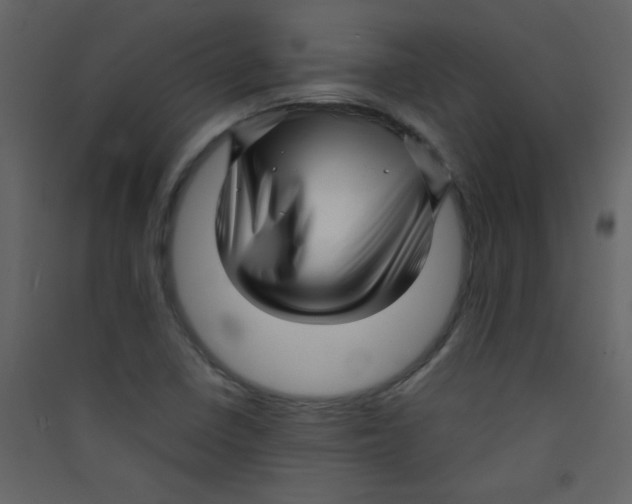 X0000089431410200707131834