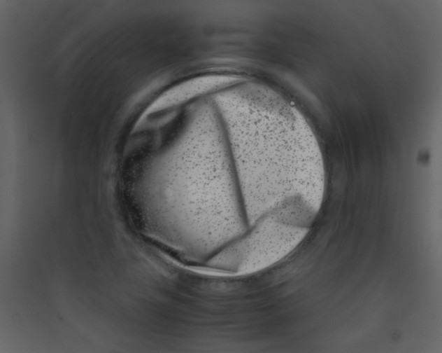 X0000089431411200707131834