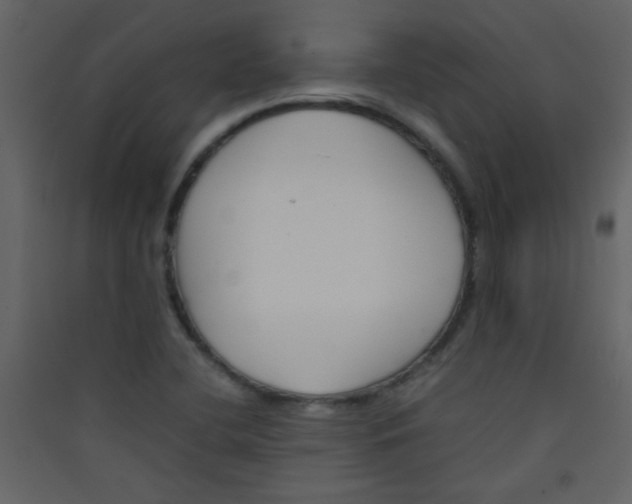 X0000089431412200707131834