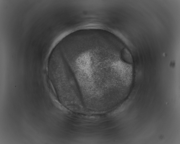 X0000089431413200707131834