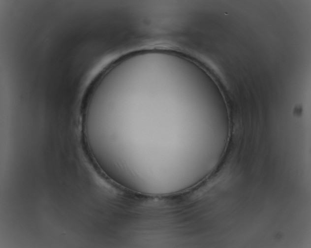 X0000089431414200707131834