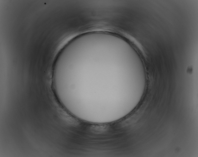 X0000089431415200707131834