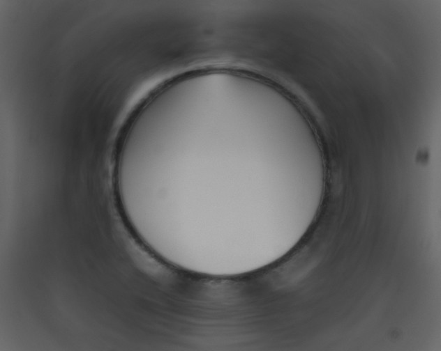 X0000089431416200707131834