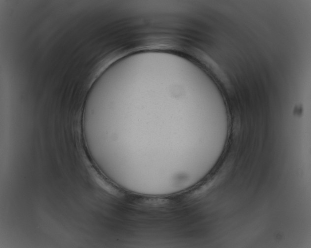 X0000089431417200707131834