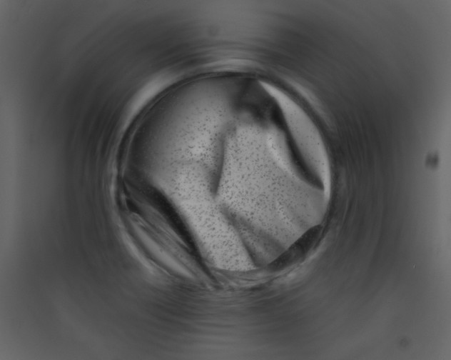 X0000089431418200707131834