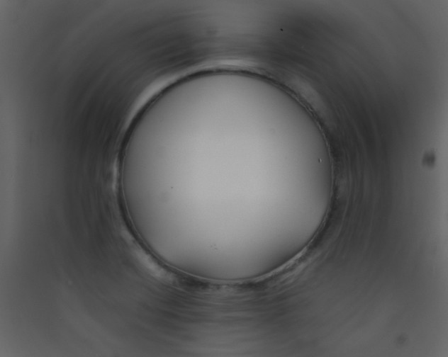 X0000089431420200707131834