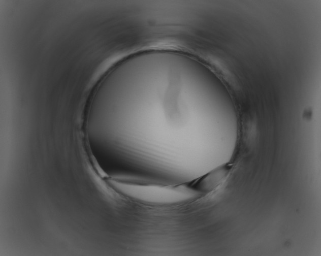 X0000089431422200707131834